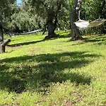 Tenuta Taurianum Panoramichouse E Panoramicb&b Palmi