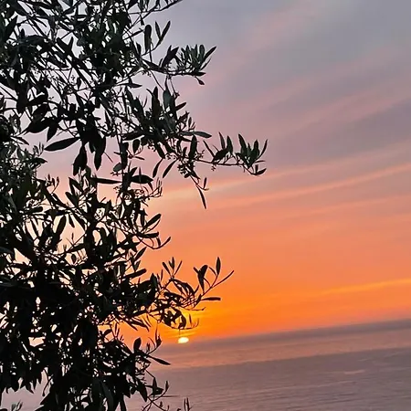 Tenuta Taurianum Panoramichouse E Panoramicb&b 帕尔米