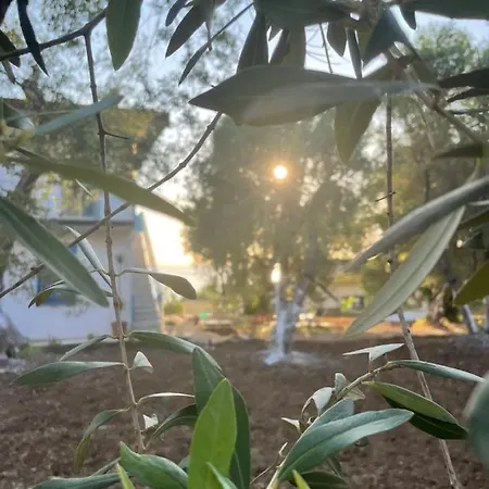 Tenuta Taurianum Panoramichouse E Panoramicb&b Ferienhaus Palmi