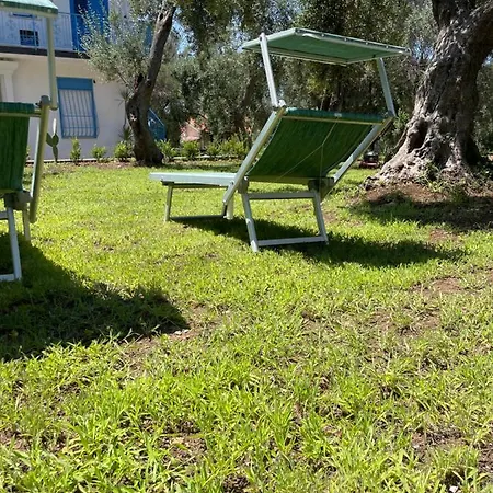 Tenuta Taurianum Panoramichouse E Panoramicb&b Holiday home *