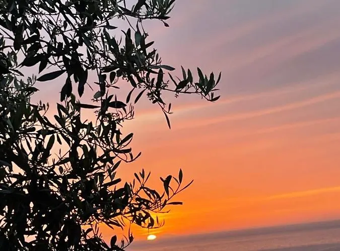 Tenuta Taurianum Panoramichouse E Panoramicb&b Palmi