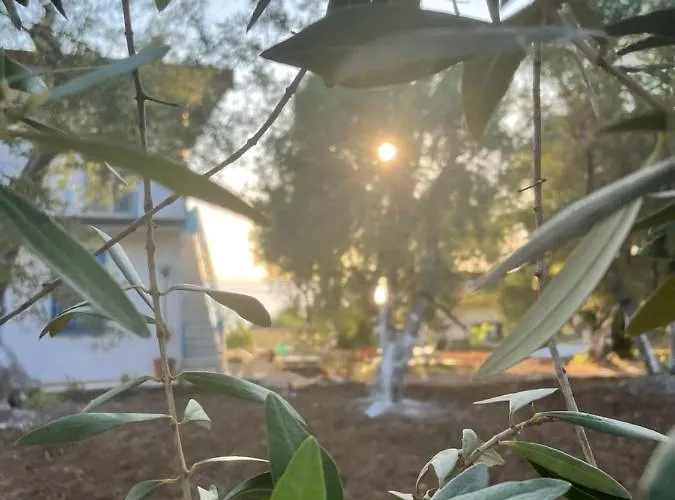 Tenuta Taurianum Panoramichouse E Panoramicb&b 別荘 パルミ