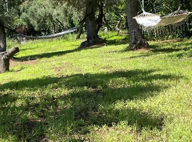 Tenuta Taurianum Panoramichouse E Panoramicb&b パルミ